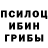 Псилоцибиновые грибы Psilocybine cubensis Blakharley97
