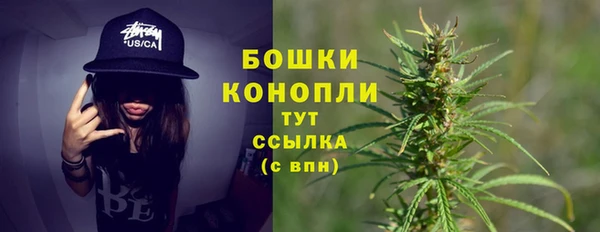 трава Аркадак