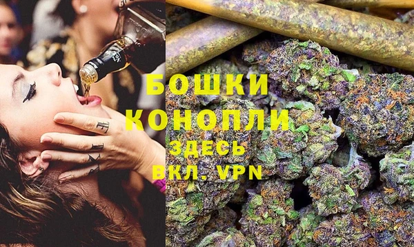 трава Аркадак