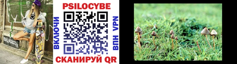 даркнет сайт кракен как войти Галлюциногенные грибы Psilocybe это формула Пустошка